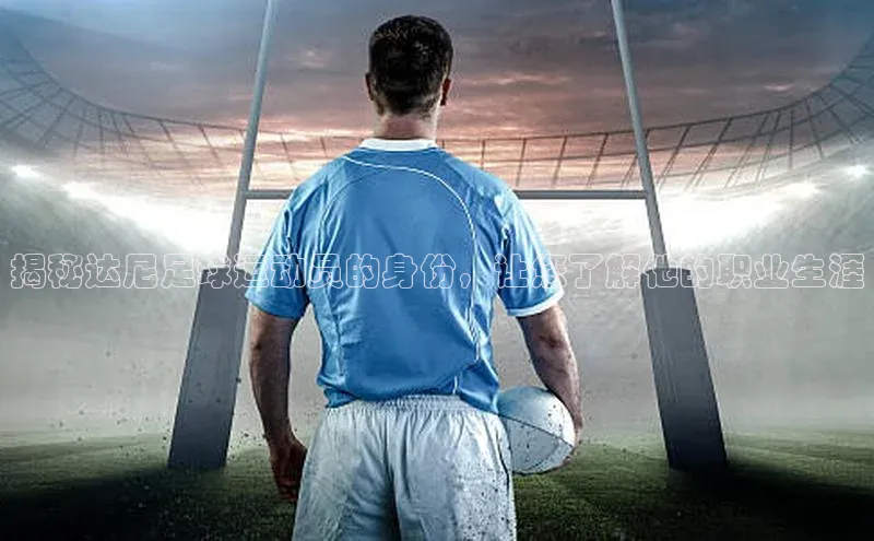 贝博APP体育网页百度搜索资源平台揭秘达尼足球运动员的身份，让您了解他的职业生涯