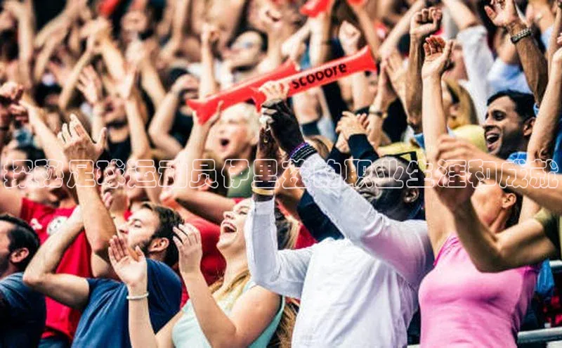 betball贝博app下载百度技术学院探秘足球运动员伊里兹的职业生涯和成就