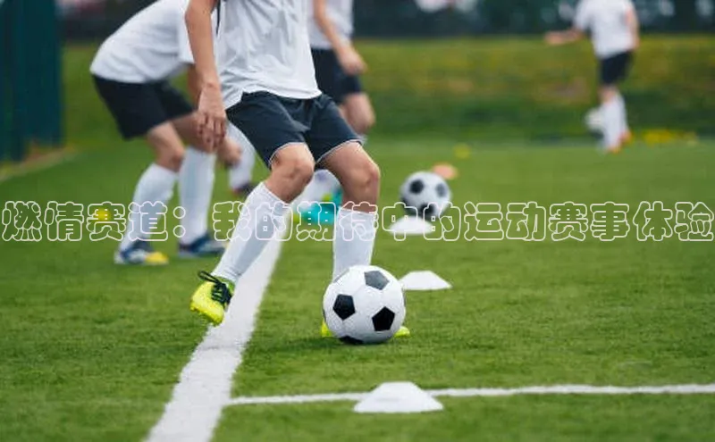 艾弗森代言贝博平台游戏合法吗百度识图燃情赛道：我的期待中的运动赛事体验