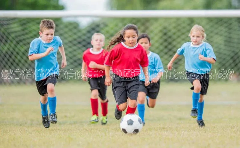 betball贝博app下载百度技术学院最高档位的体育赛事：哪项运动的门票最为昂贵？