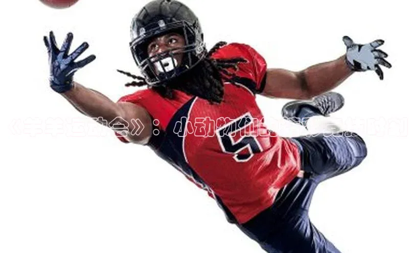 贝博官方入口路畅科技《羊羊运动会》：小动物们的精彩竞技时刻