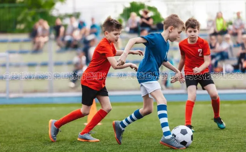 贝博app下载官网下载京东全球视野下的中国体育盛事：一场跨越国界的竞技与文化交流之旅