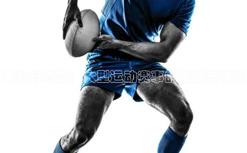 申办与筹备：大型运动赛事的挑战与机遇