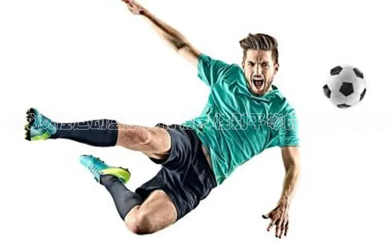 全球女性运动盛事排行榜：性别平等的力量与挑战