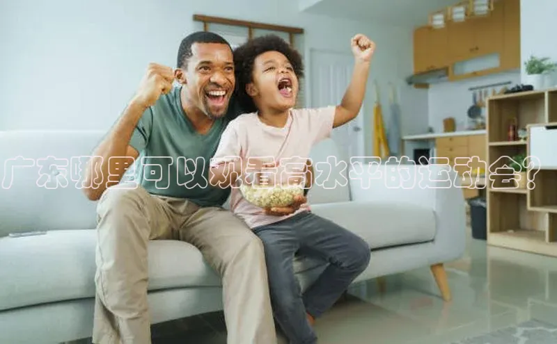 广东哪里可以观看高水平的运动会？