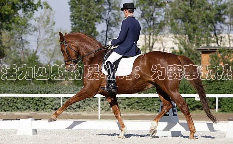 活力四射的暖场词：为赛事预热