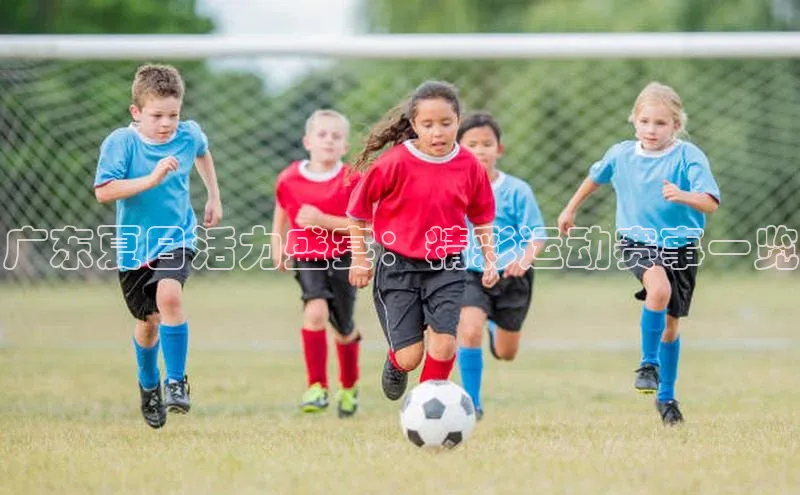广东夏日活力盛宴：精彩运动赛事一览