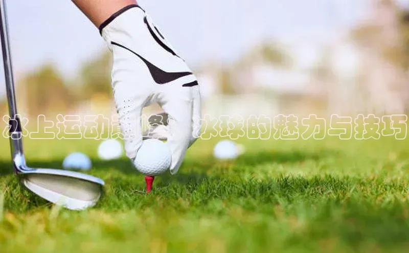 冰上运动巅峰：冰球的魅力与技巧