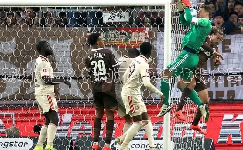 赛场风云：我的运动赛事心得分享