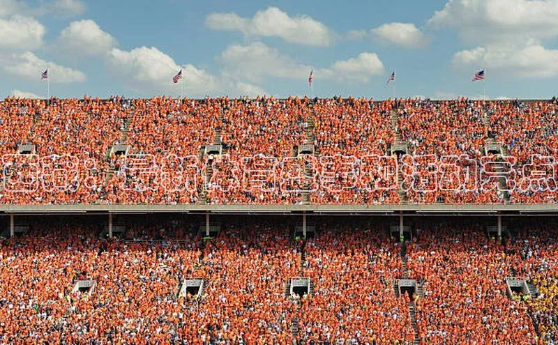 西藏：最新体育盛事和活动亮点