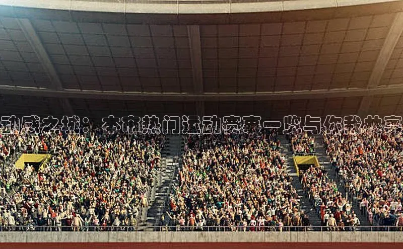 动感之城：本市热门运动赛事一览与你我共享