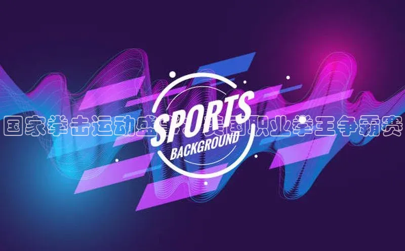 国家拳击运动盛事：美国职业拳王争霸赛