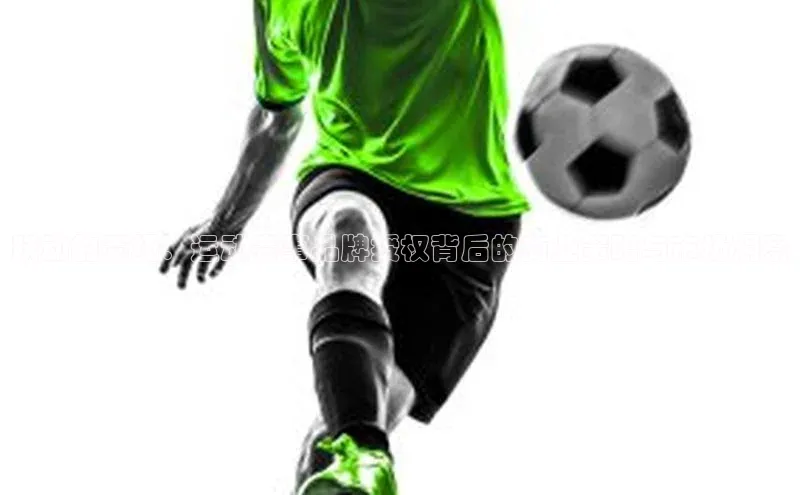 跃动的赛场：运动赛事品牌授权背后的商业策略与市场洞察