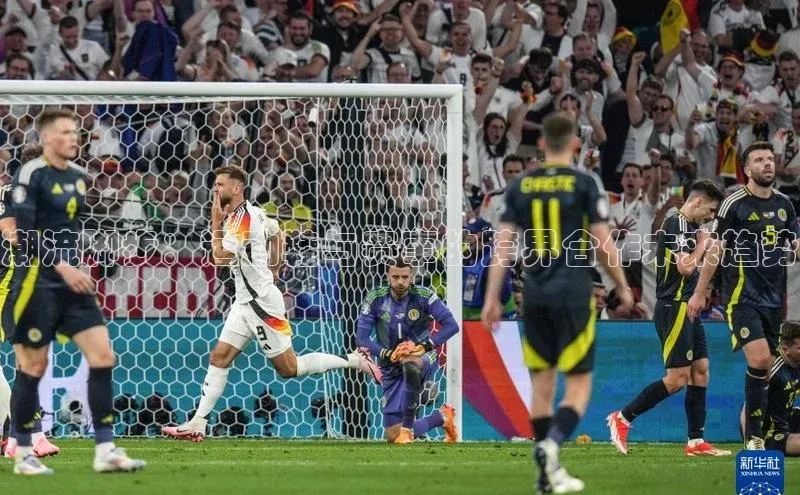 潮流脚步：运动鞋与赛事的跨界合作未来趋势