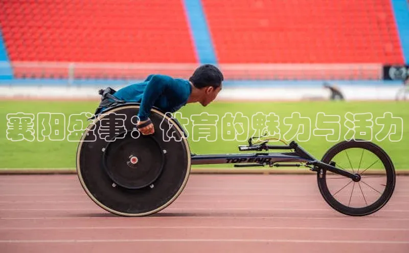 襄阳盛事：体育的魅力与活力