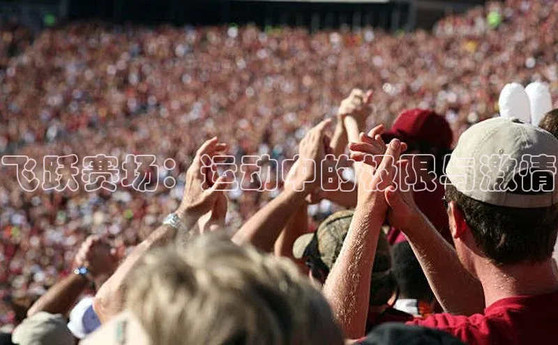 飞跃赛场：运动中的极限与激情