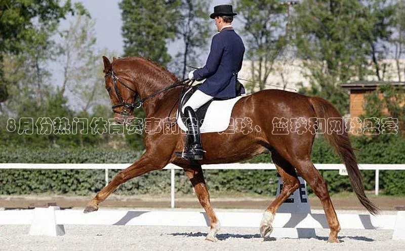 8月份热门体育赛事前瞻：足球、篮球和网球盛宴