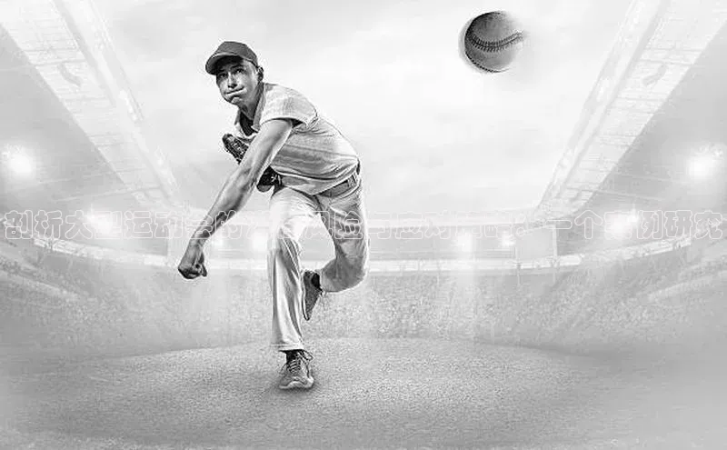 剖析大型运动会的潜在风险与应对策略：一个案例研究