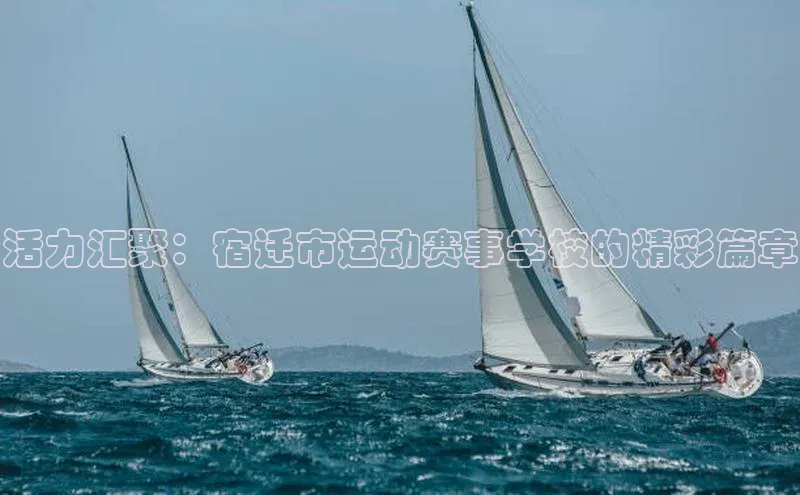 活力汇聚：宿迁市运动赛事学校的精彩篇章