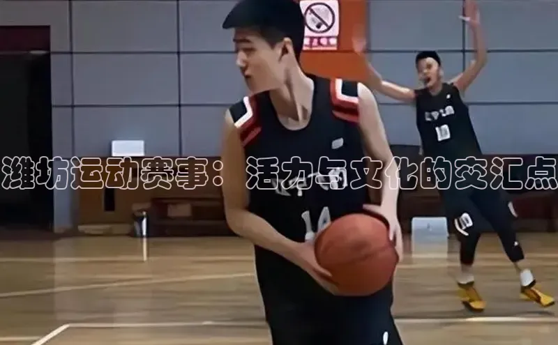 贝博APP体育网页