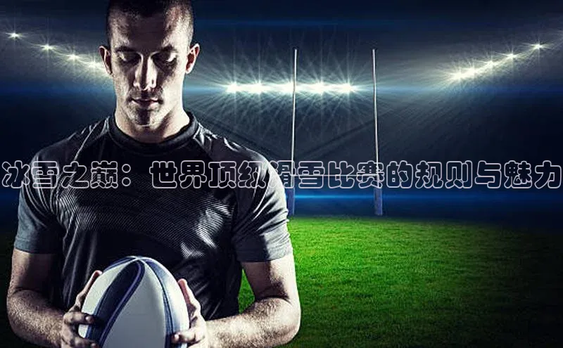 贝博官网下载app