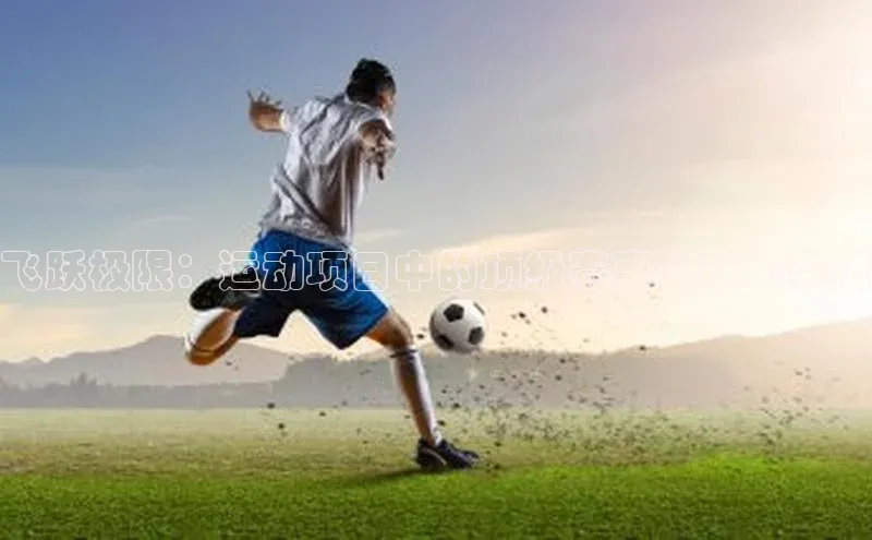 飞跃极限：运动项目中的顶级赛事挑战与突破