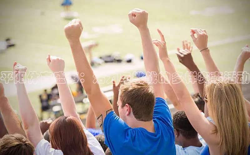 平阳体育盛事：活力与挑战的多样赛事活动